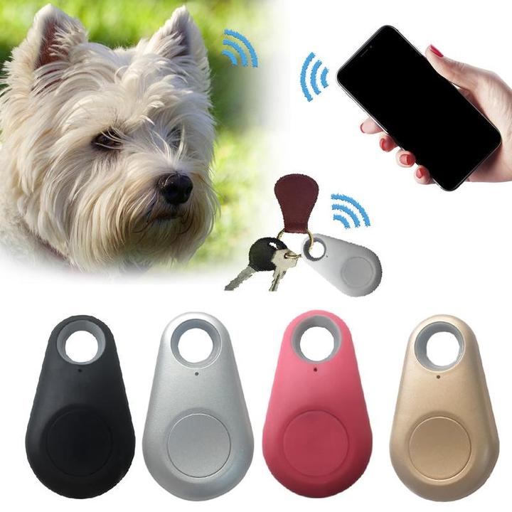 Pet Guardian | Compact GPS Tracker for Pets with Long Battery Life | Real-Time Location Tracking for Safety 2