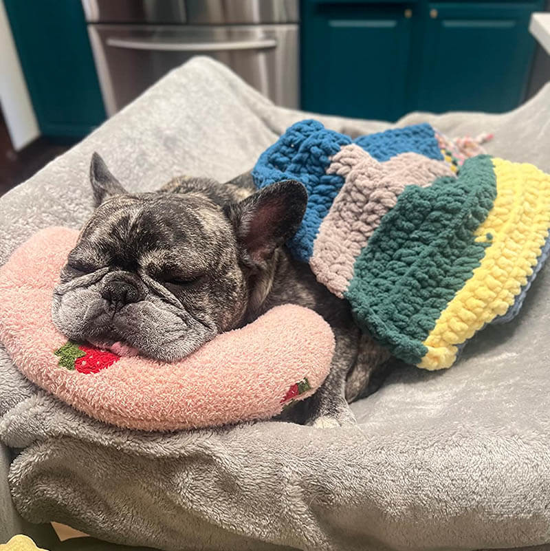 PetEase Luxe - Orthopedic Dog Bed for Calm, Restful Sleep