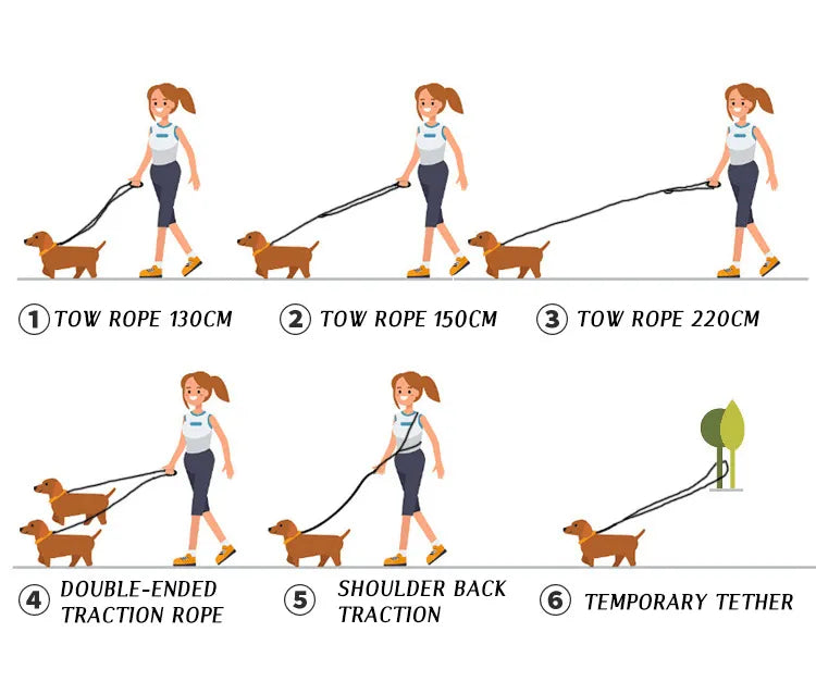 FreedomLeash - Hands-Free Dog Leash for Active Walks