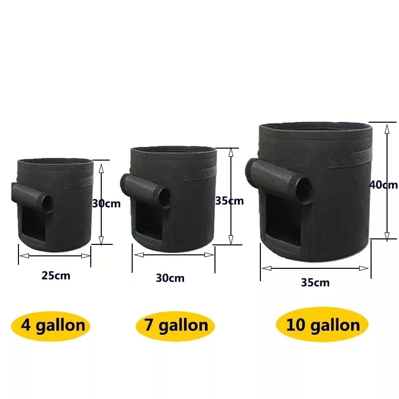 GrowMaster Pots - Stylish Grow Pot for Fresh Vegetables