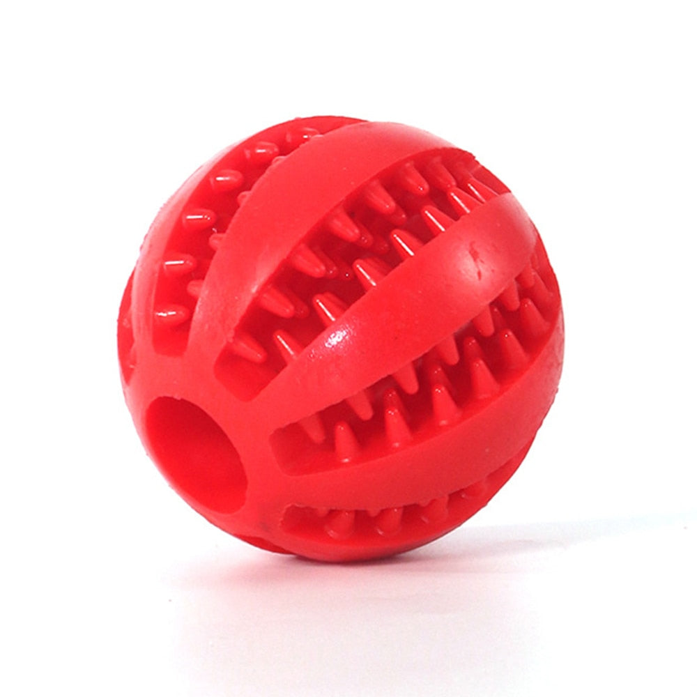 PlayMaster - Durable Interactive Dog Toy