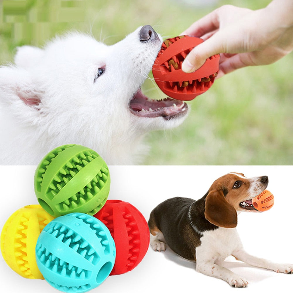 PlayMaster - Durable Interactive Dog Chew Ball for Dental Play