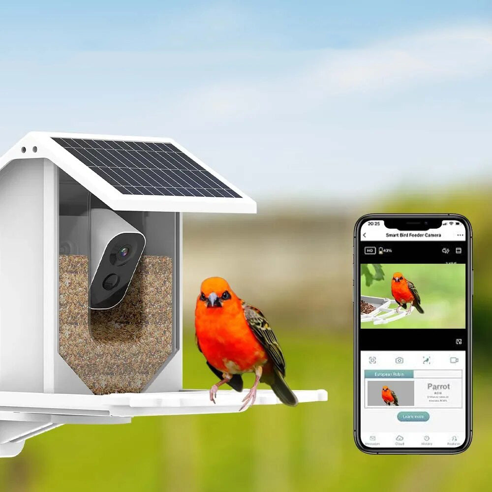 Solar Bird Feeder - Wireless Garden Feeder