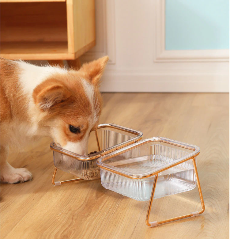 PetChic - Trendy Raised Pet Bowl
