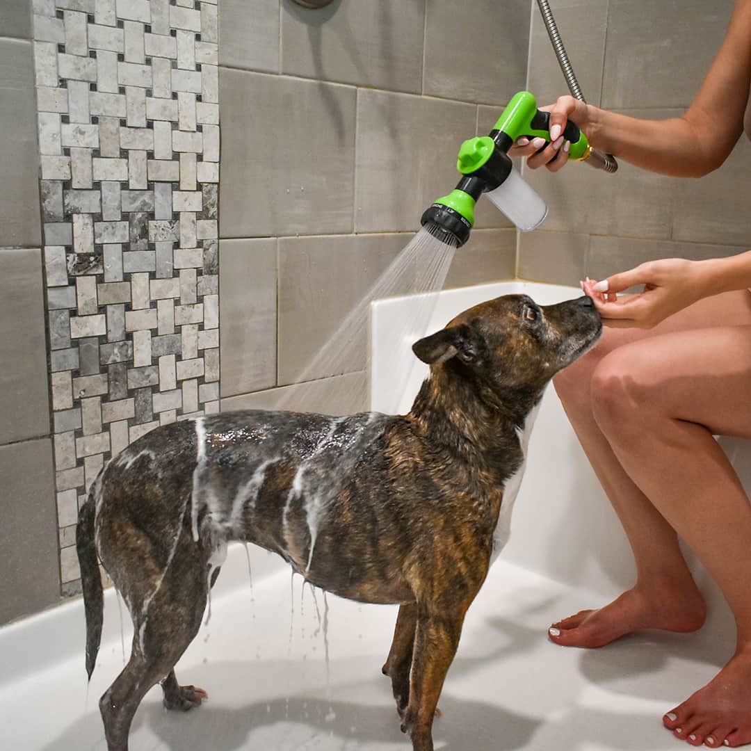 Dogjet Pro - Fast Dog Washing Sprayer