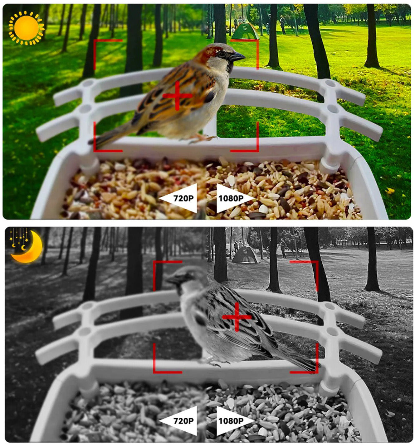 Solar Bird Feeder - Wireless Garden Feeder
