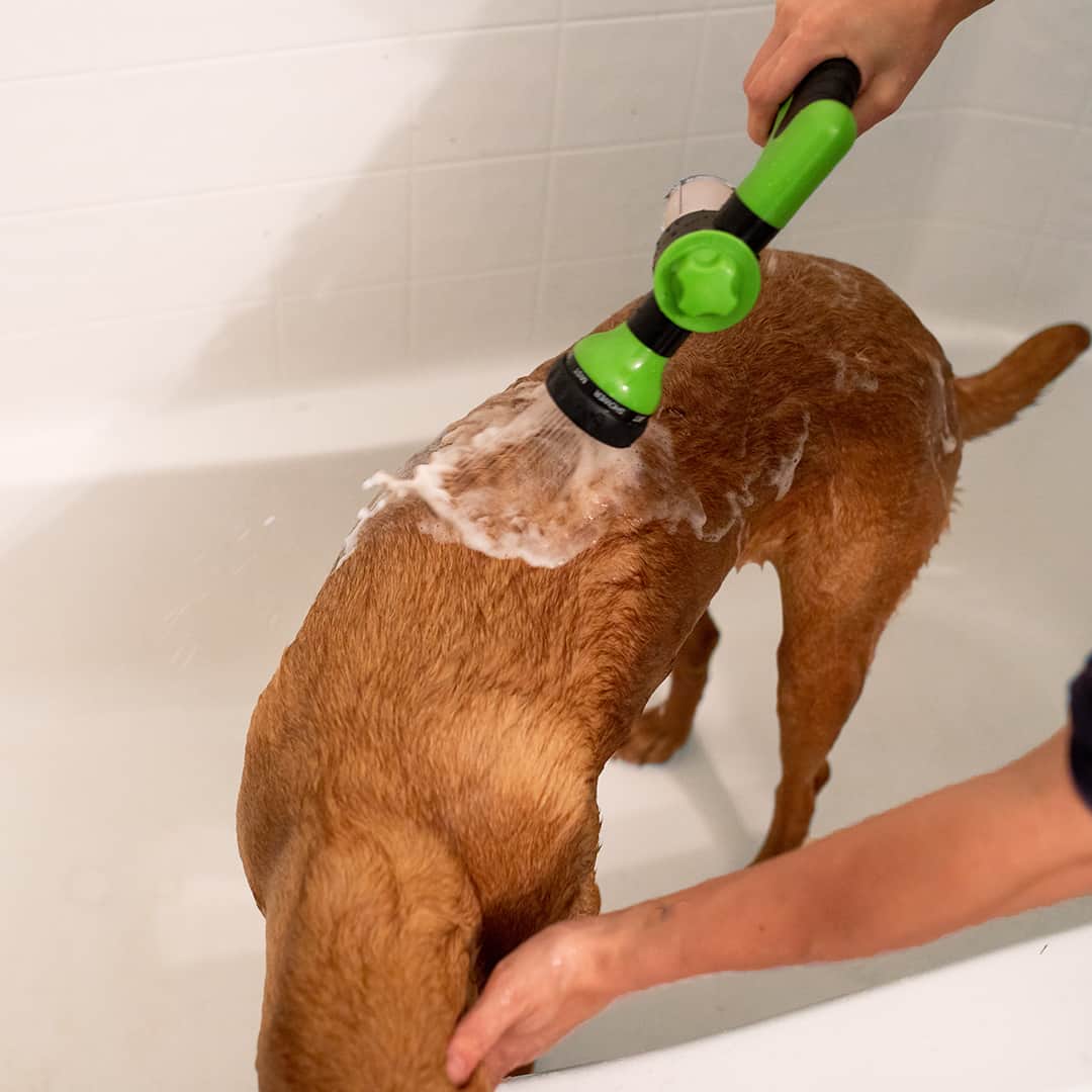 Dogjet Pro - Fast Dog Washing Sprayer