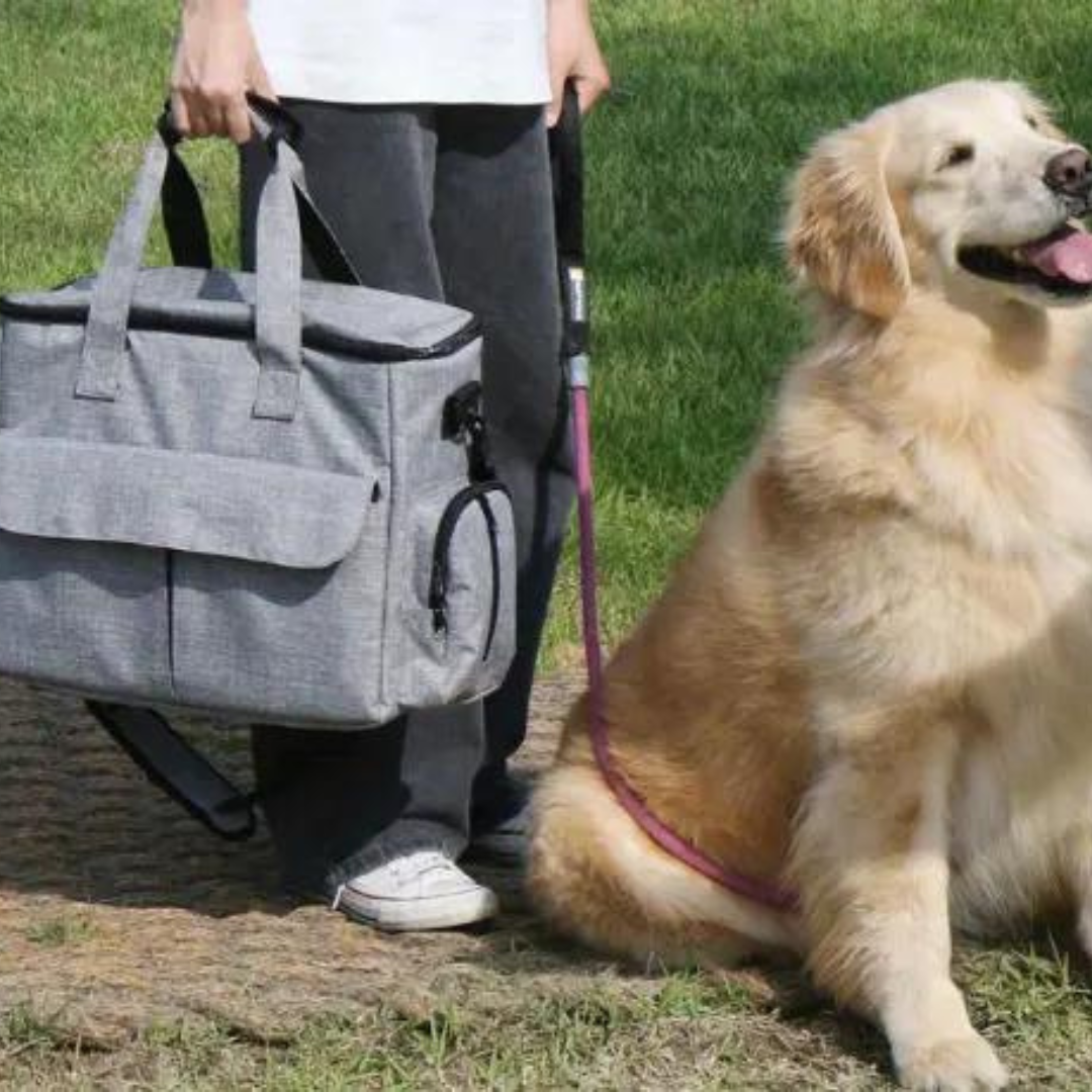 OutdoorPaw Bag - Adventure Backpack Carrier for Dogs