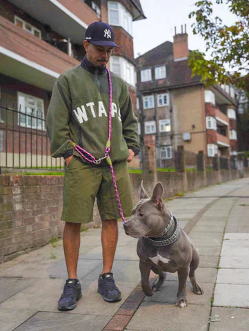 FreedomLeash - Hands-Free Dog Leash for Active Walks