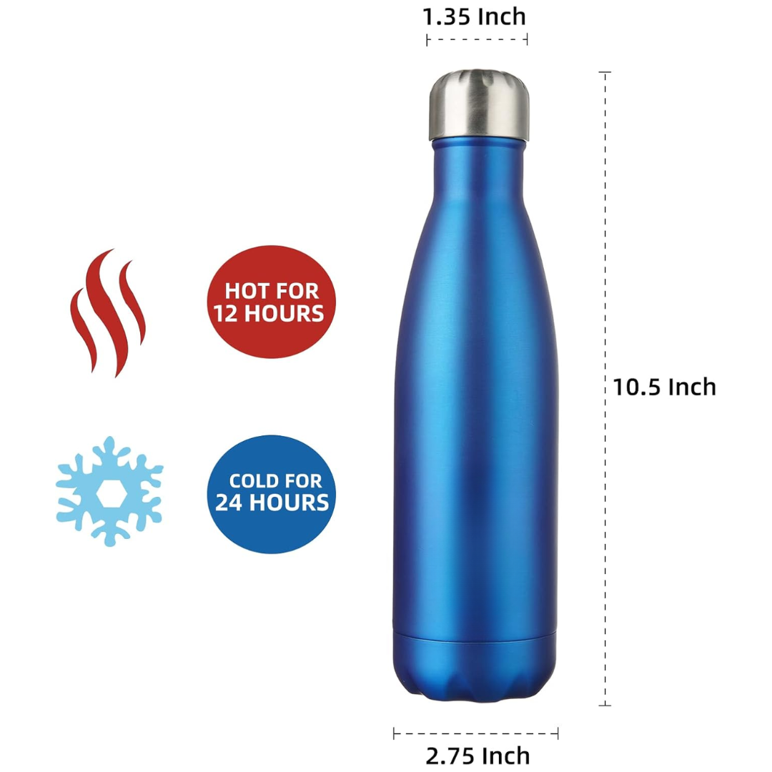 SteelSip - Insulated Travel Bottle