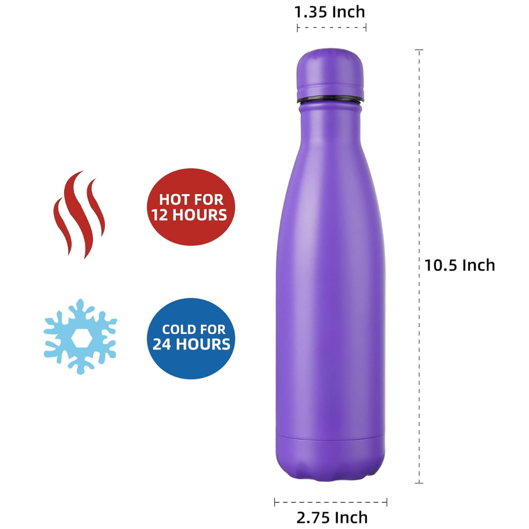 SteelSip - Insulated Travel Bottle