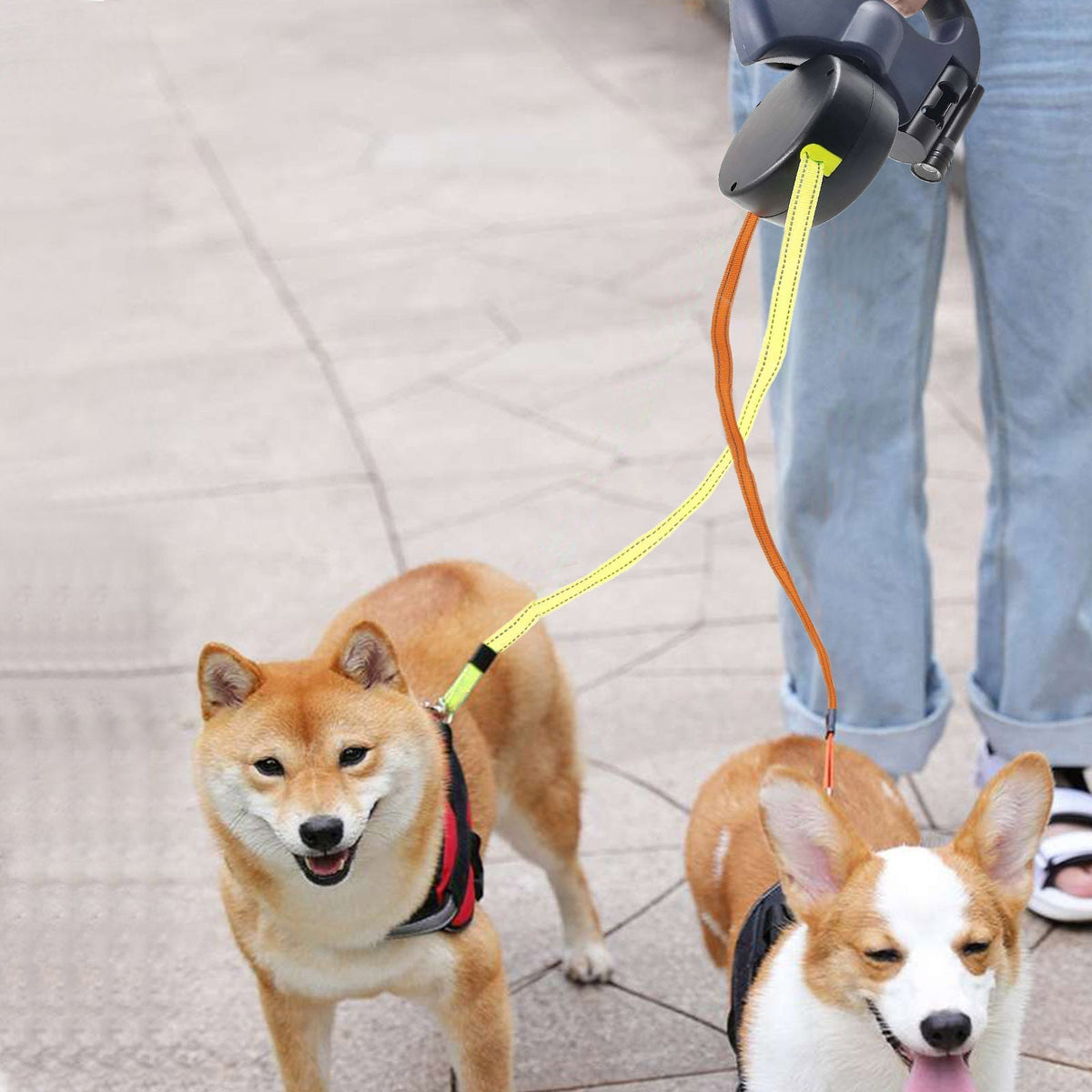 ProPet Duo Leash - Retractable Dual Dog Leash with Light