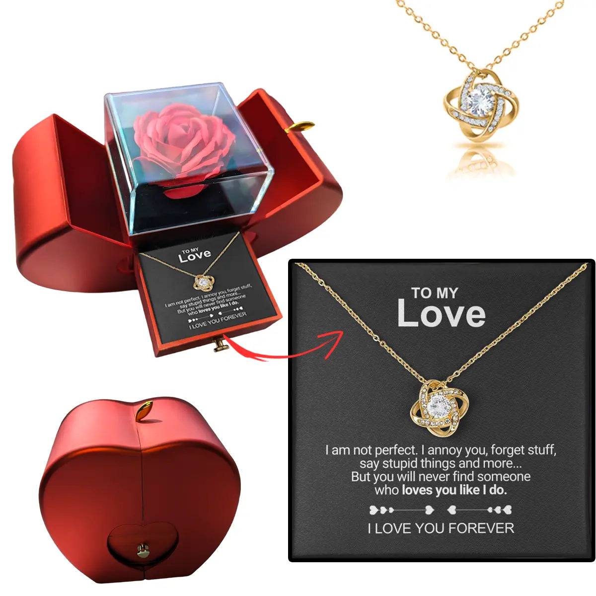 TimelessLove Set - Preserved Rose and Silver Necklace Gift