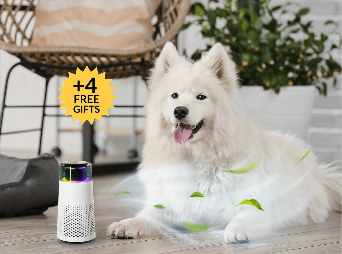 PetFresh - Aromatic Pet Odor Diffuser and Humidifier