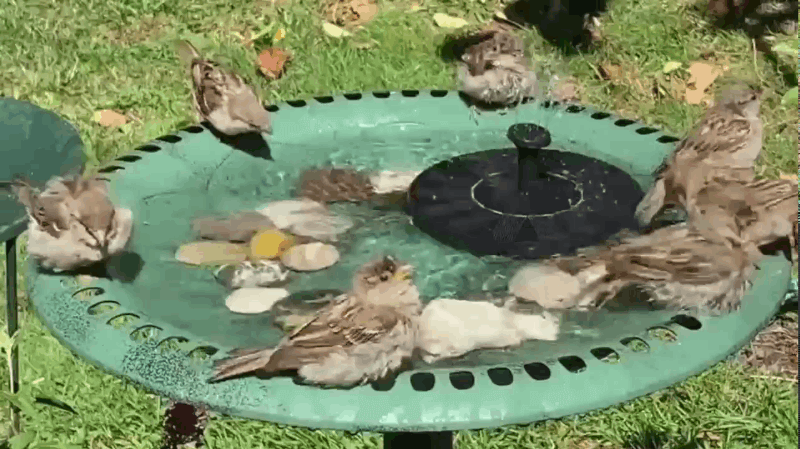 TranquilFlow - Solar Garden Fountain