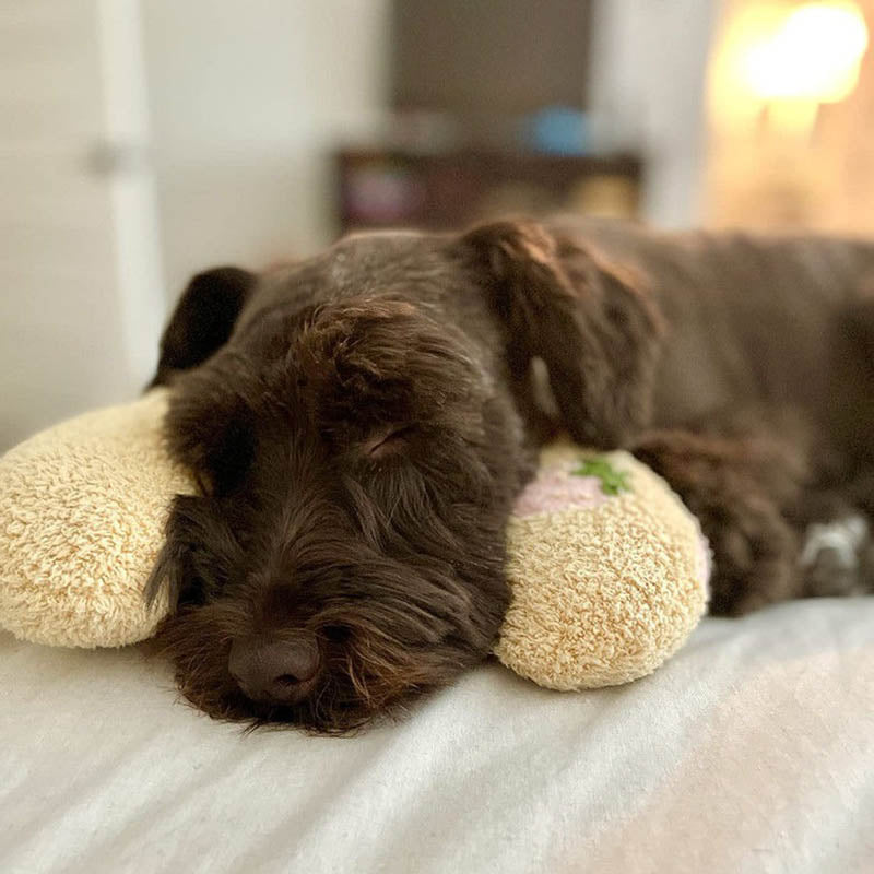 PetEase Luxe - Orthopedic Dog Bed for Calm, Restful Sleep