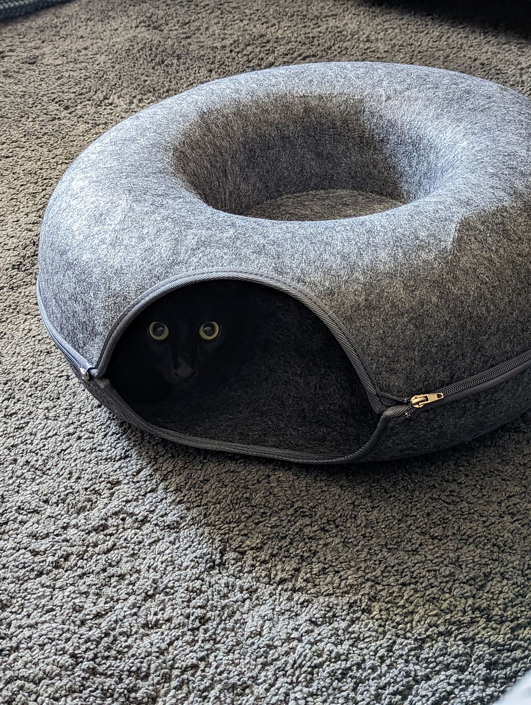 Purrfect Den - Cozy Cat Tunnel Bed with Plush Sleeping Nook