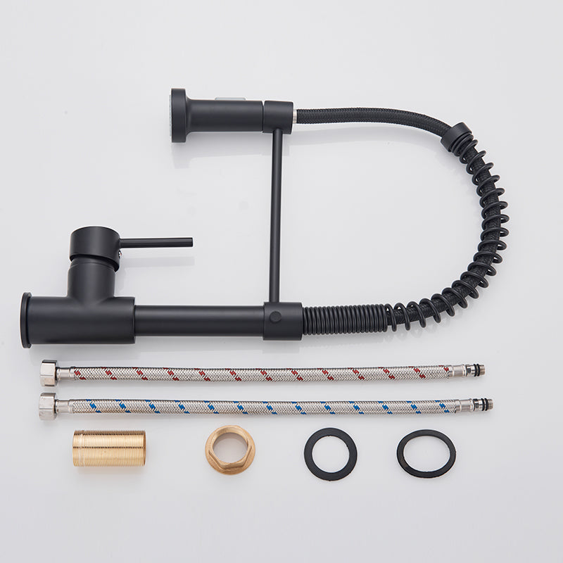 Zoovy Faucet - Sleek Matte Black Kitchen Faucet with Dual Spray
