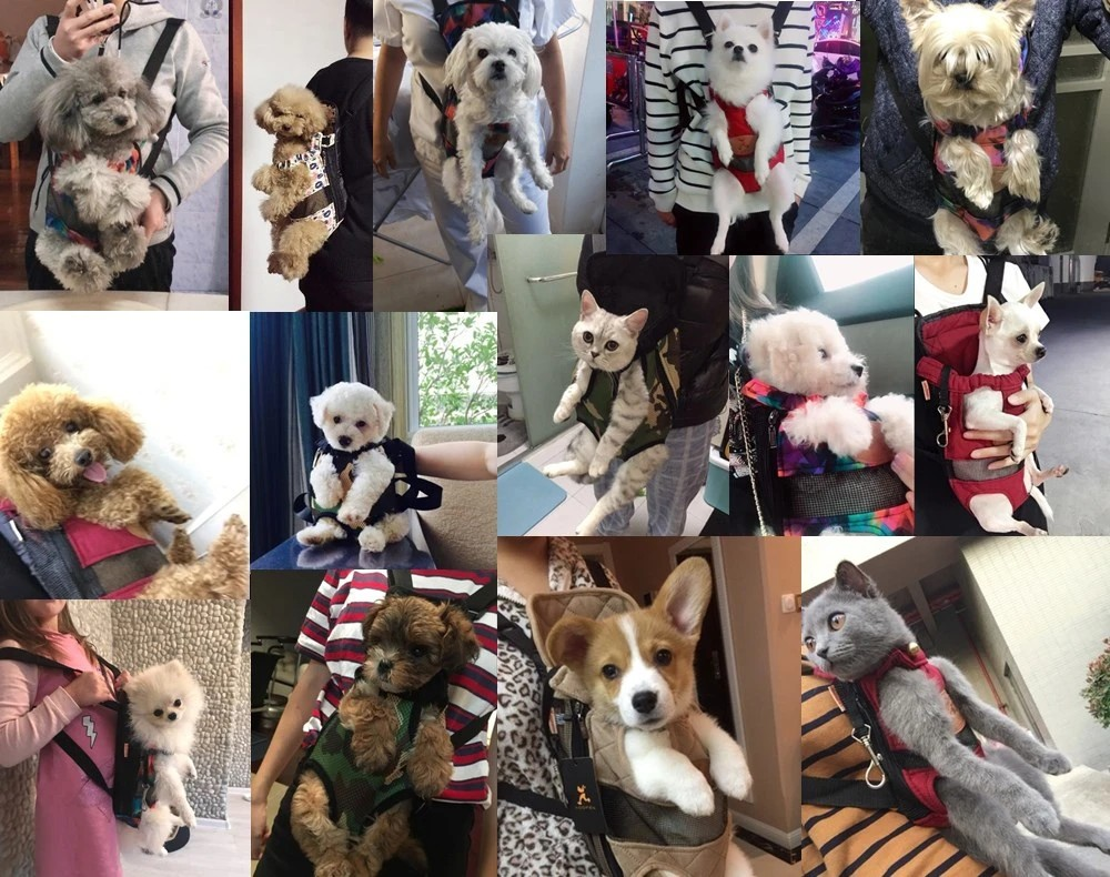 TravelBuddy Carrier - Breathable Pet Travel Bag for Small Pets