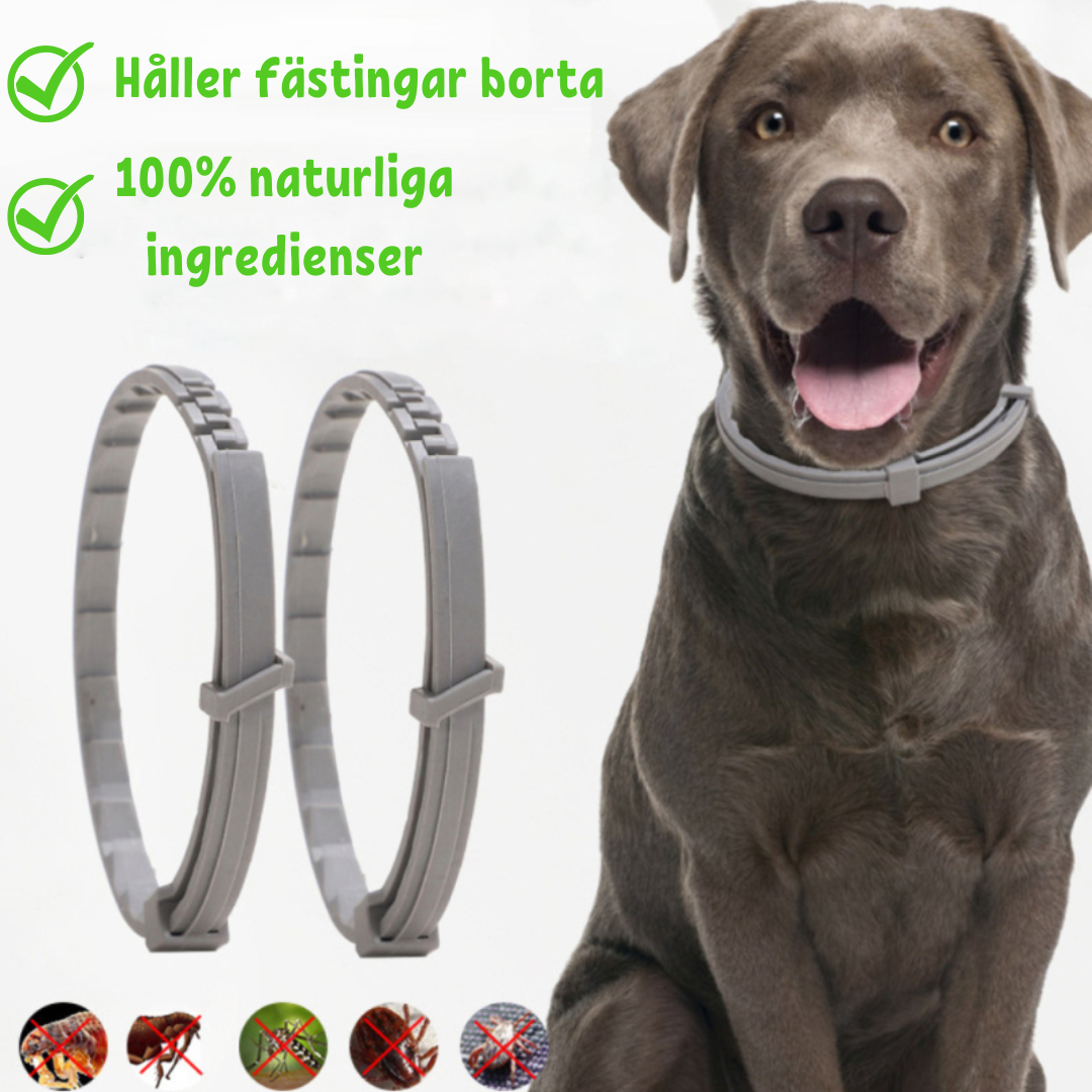 FleaShield Collar - Flea and Tick Protection for Cats and Dogs