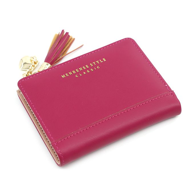 MiniCard - Elegant Card Holder with Coin Pocket